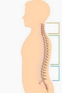 osteochondrosis lesions of various parts of the spine